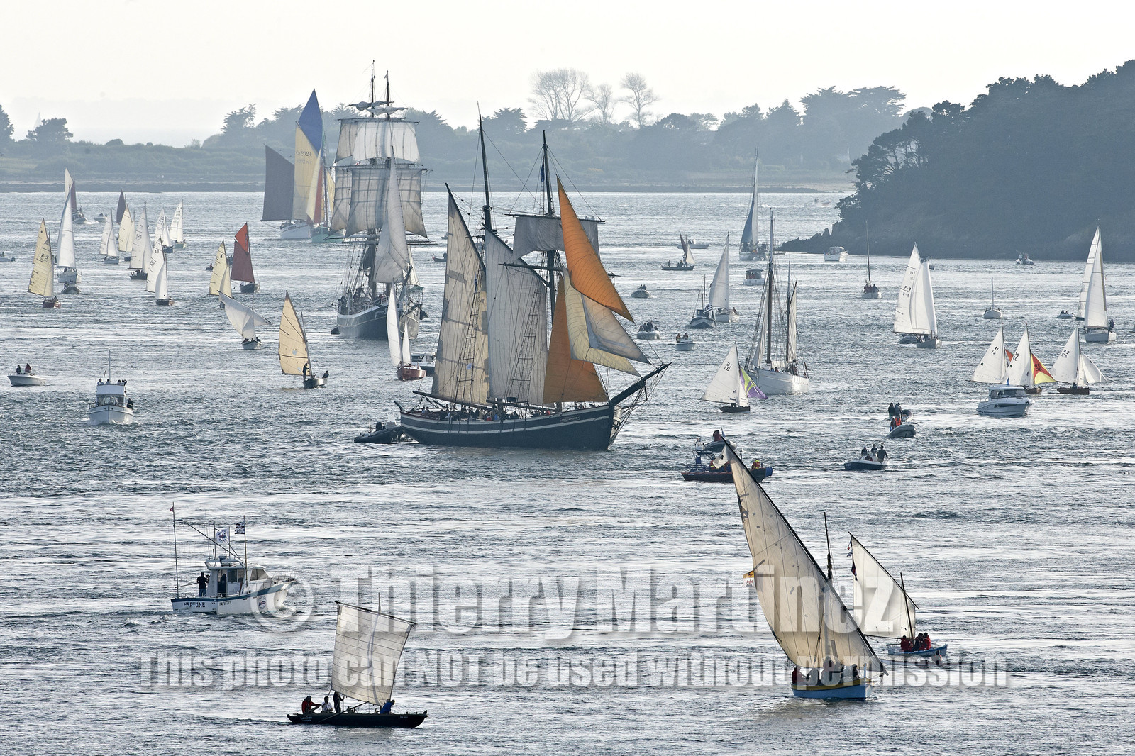 Semaine du Golfe 2015. Parade d'arrivée de la flotte.