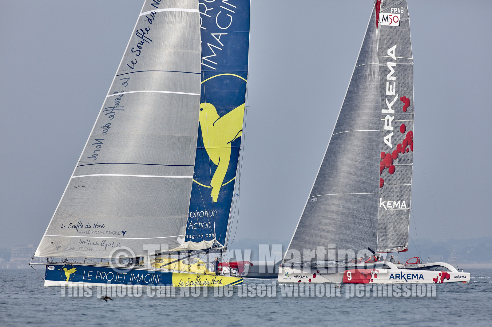 16_48261-DREAHM CUP 2016