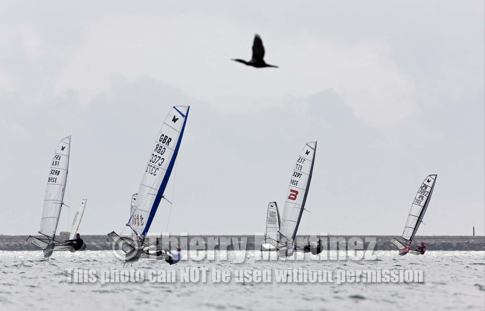 2008 Moth World. Weymouth-UK. 5 11 July 2008.