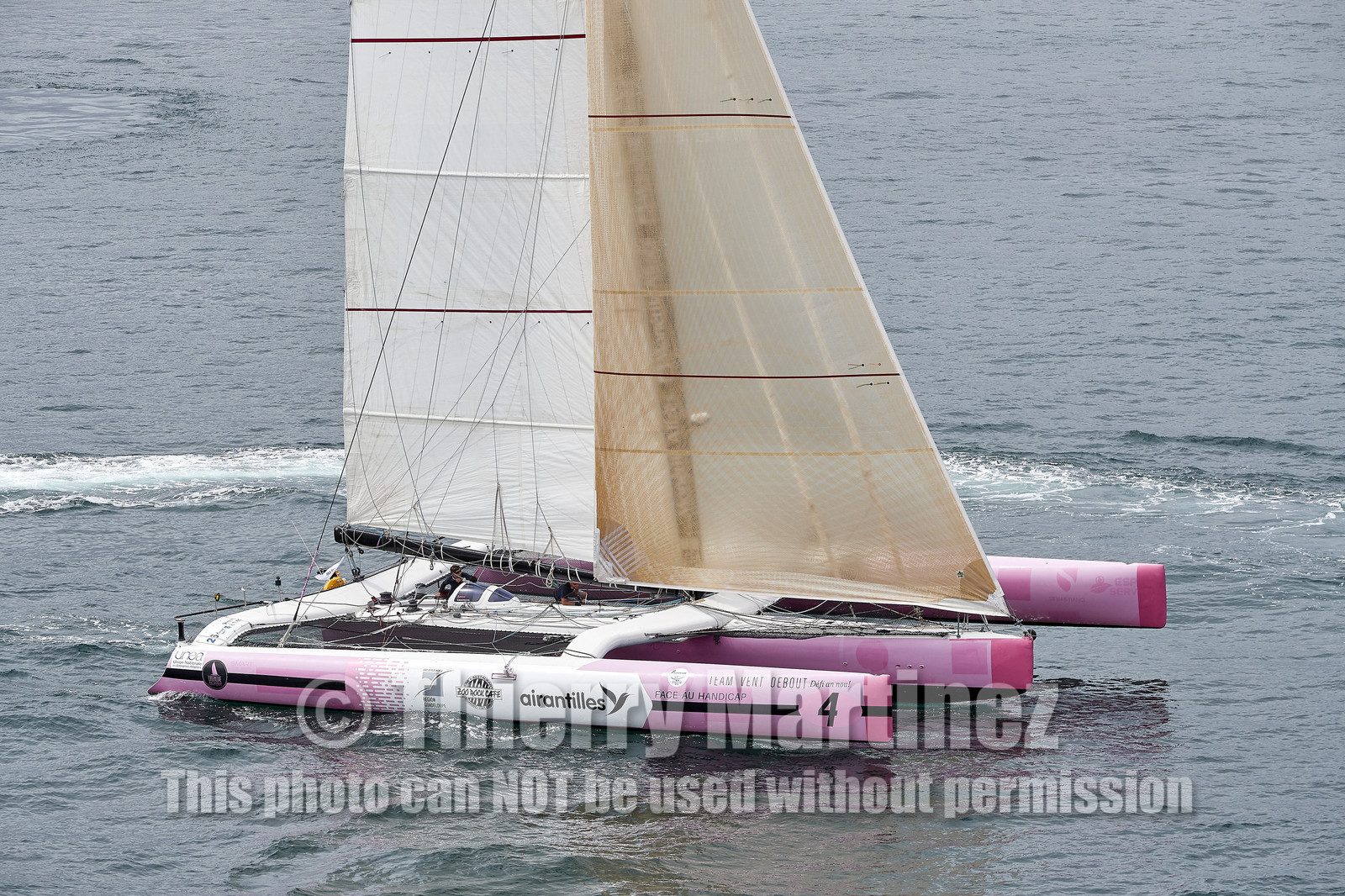 THM-20_09302_DRHEAM CUP