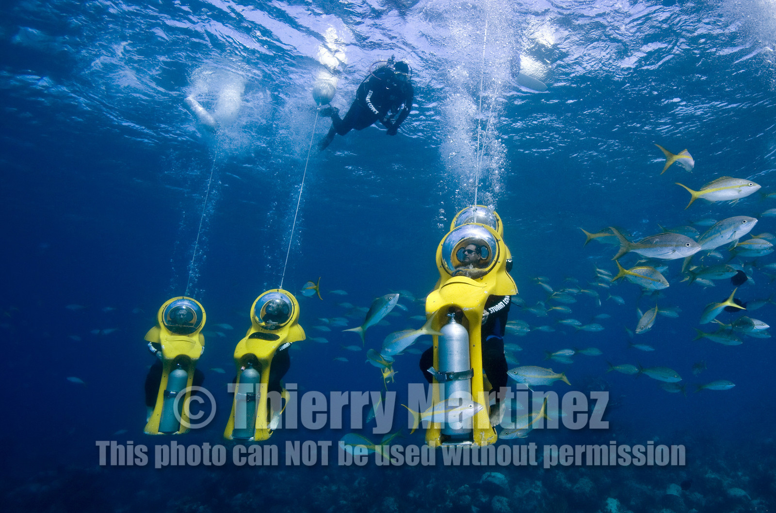 DIVING IN BAHAMAS- JAN 2007