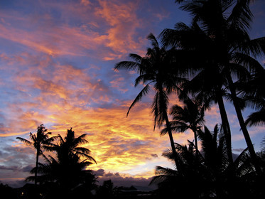 Maui - Hawaii Jan-Feb 2007