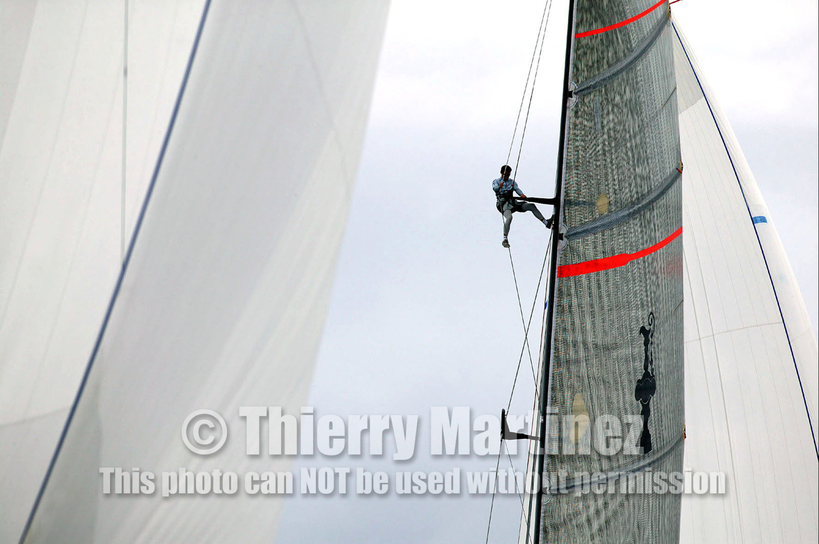 03_1008D © Th.Martinez . Auckland   New Zealand. 20th February 2003 America's Cup 2003, .Day 4 Race cancelled Alinghi(SUI64) vs Team New Zealand(NZL82) .Murray Jones in the mast looking for breeze.