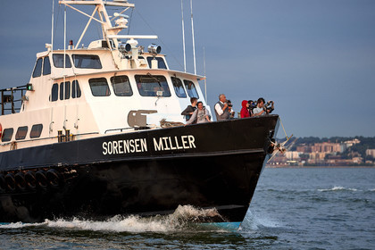 THM_17_052641_THE_BRIDGE-NY