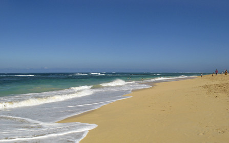 Maui - Hawaii Jan-Feb 2007