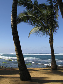 Maui - Hawaii Jan-Feb 2007