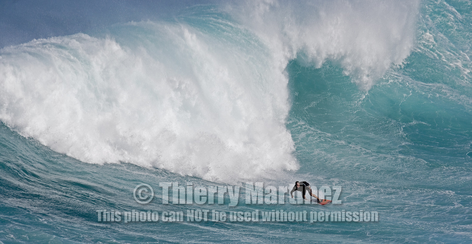MAUI - HAWAII - USA . Jan 2007.