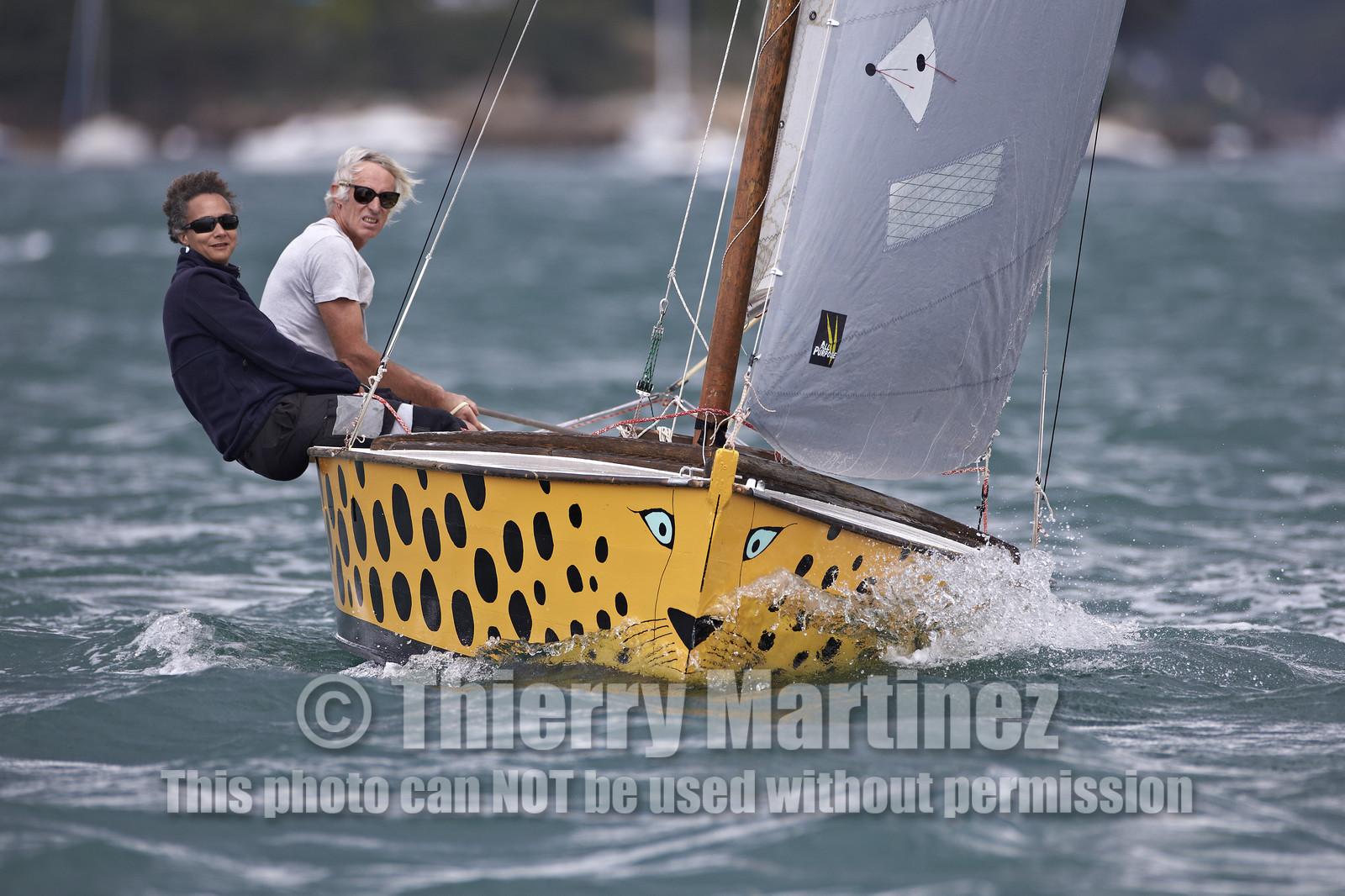 FESTIVAL DE LA VOILE 2014 -Ile aux Moines (Golfe du Morbihan)