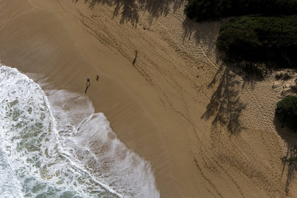 MAUI - HAWAII - USA . Jan 2007.