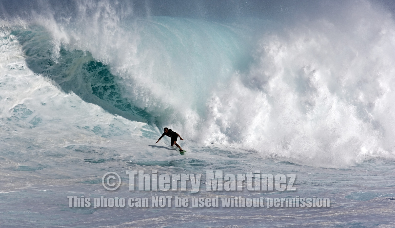 MAUI - HAWAII - USA . Jan 2007.