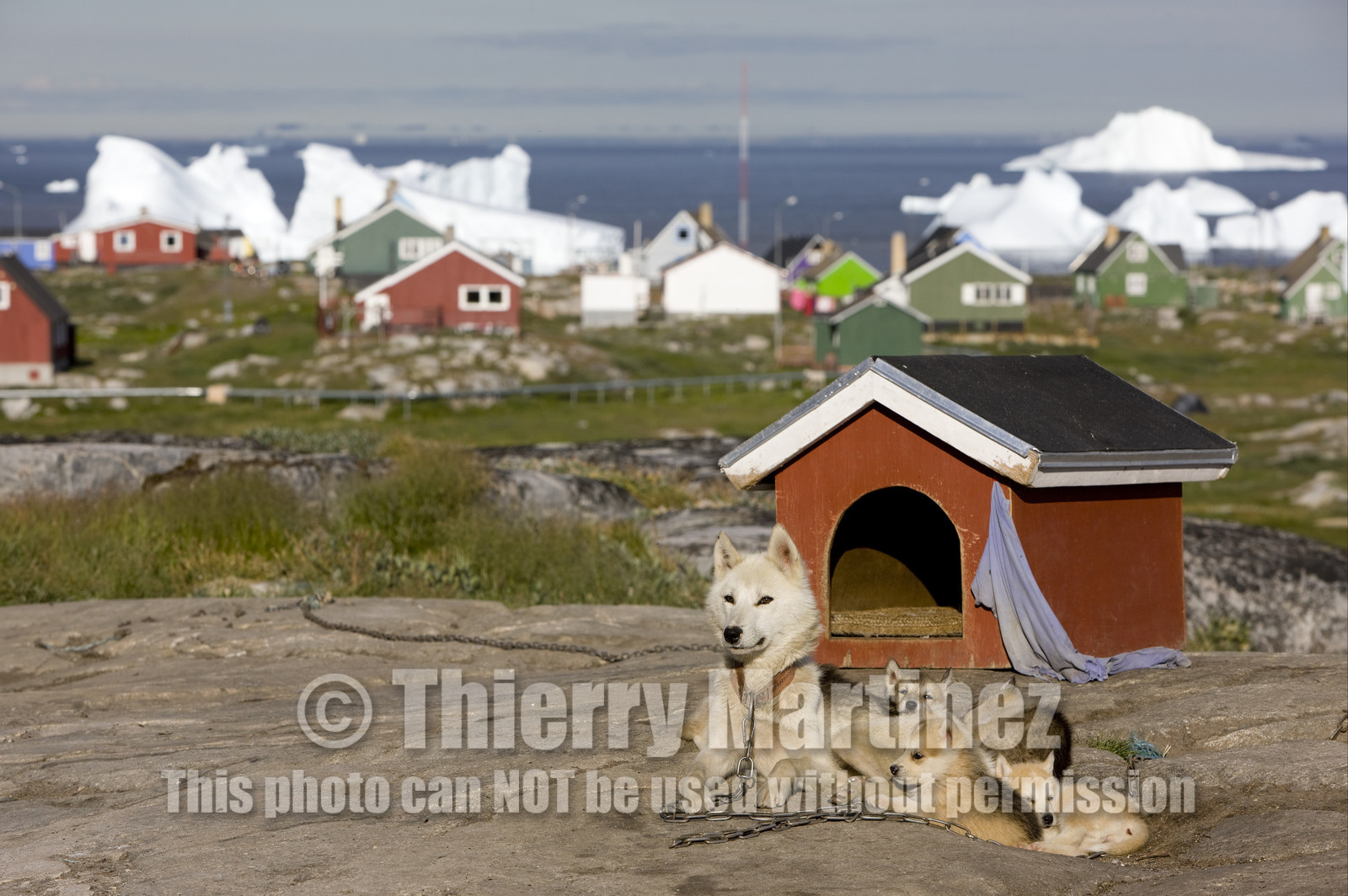 Schooner LA LOUISE sailing on west coast of Greenland.