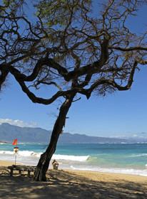 Maui - Hawaii Jan-Feb 2007