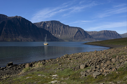 Schooner LA LOUISE sailing on west coast of Greenland.