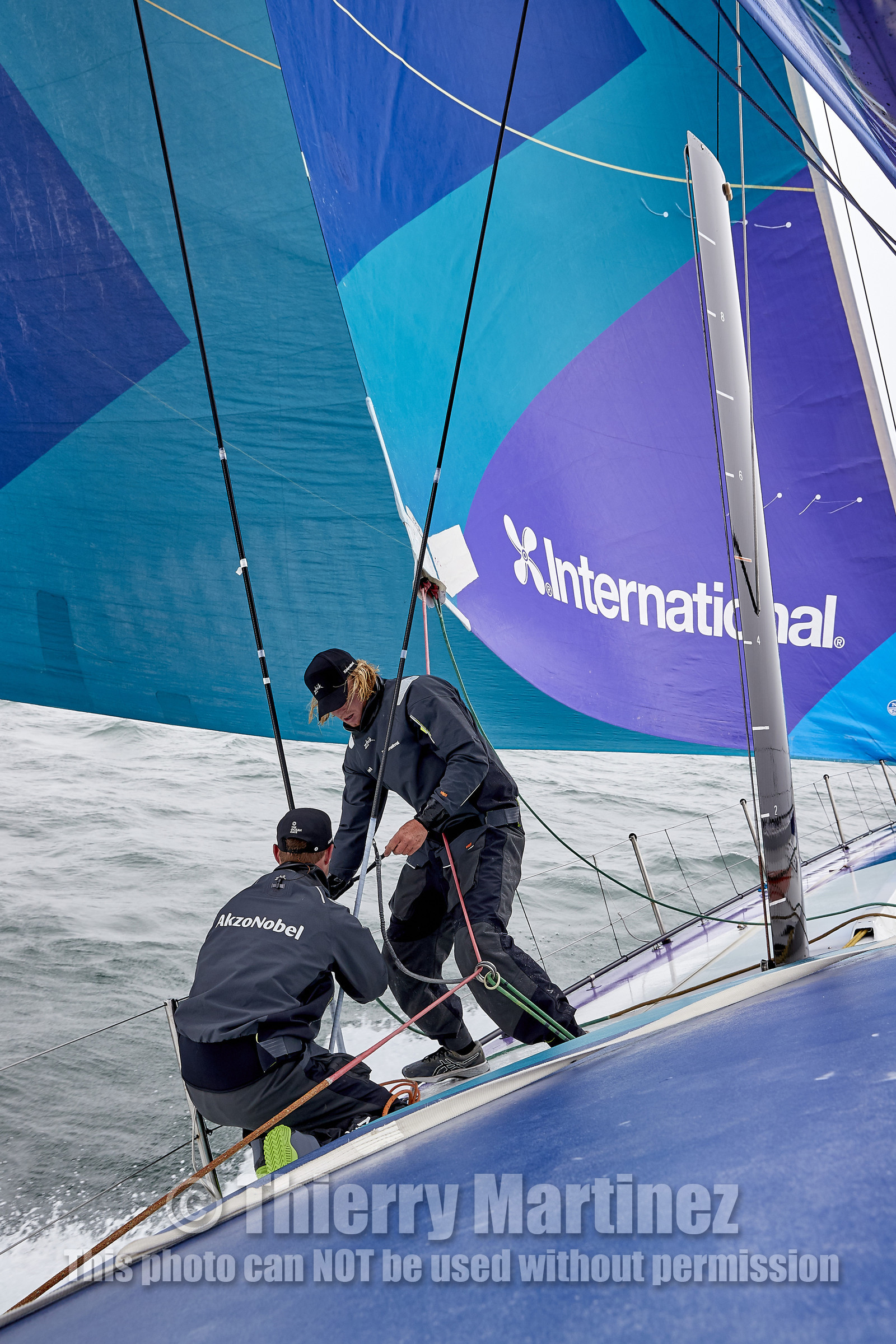 THM-21_10161_THE OCEAN RACE EUROPE