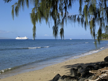 Diving in Maui HAWAII - USA . Jan 2007.