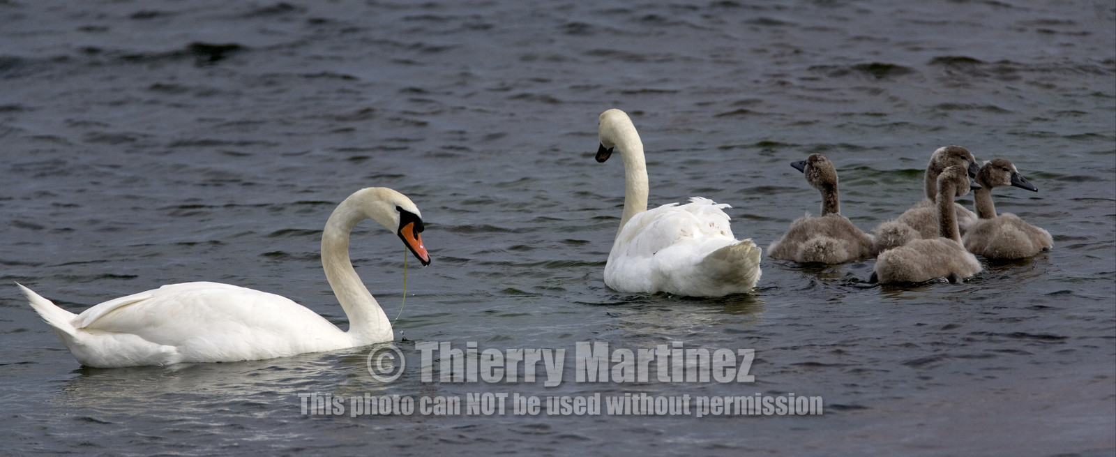 Archipelago Raid 2007 (30 July    3 August 2007).