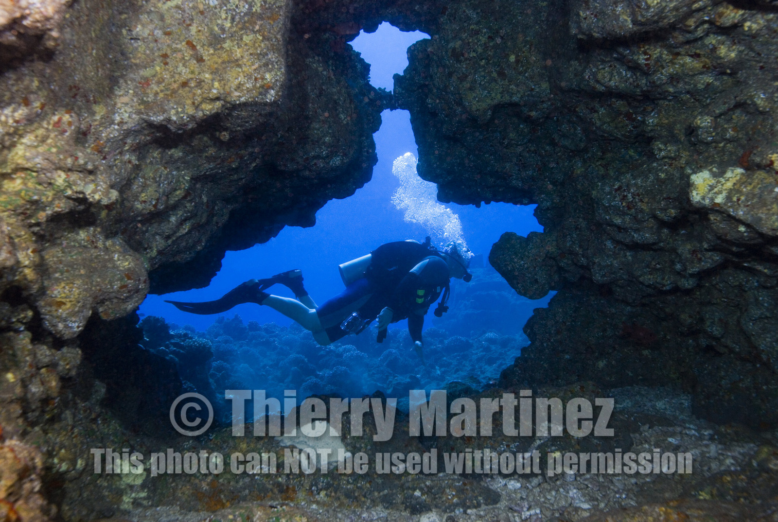 Diving in Maui HAWAII -USA . Jan 2007.