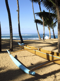 Maui - Hawaii Jan-Feb 2007