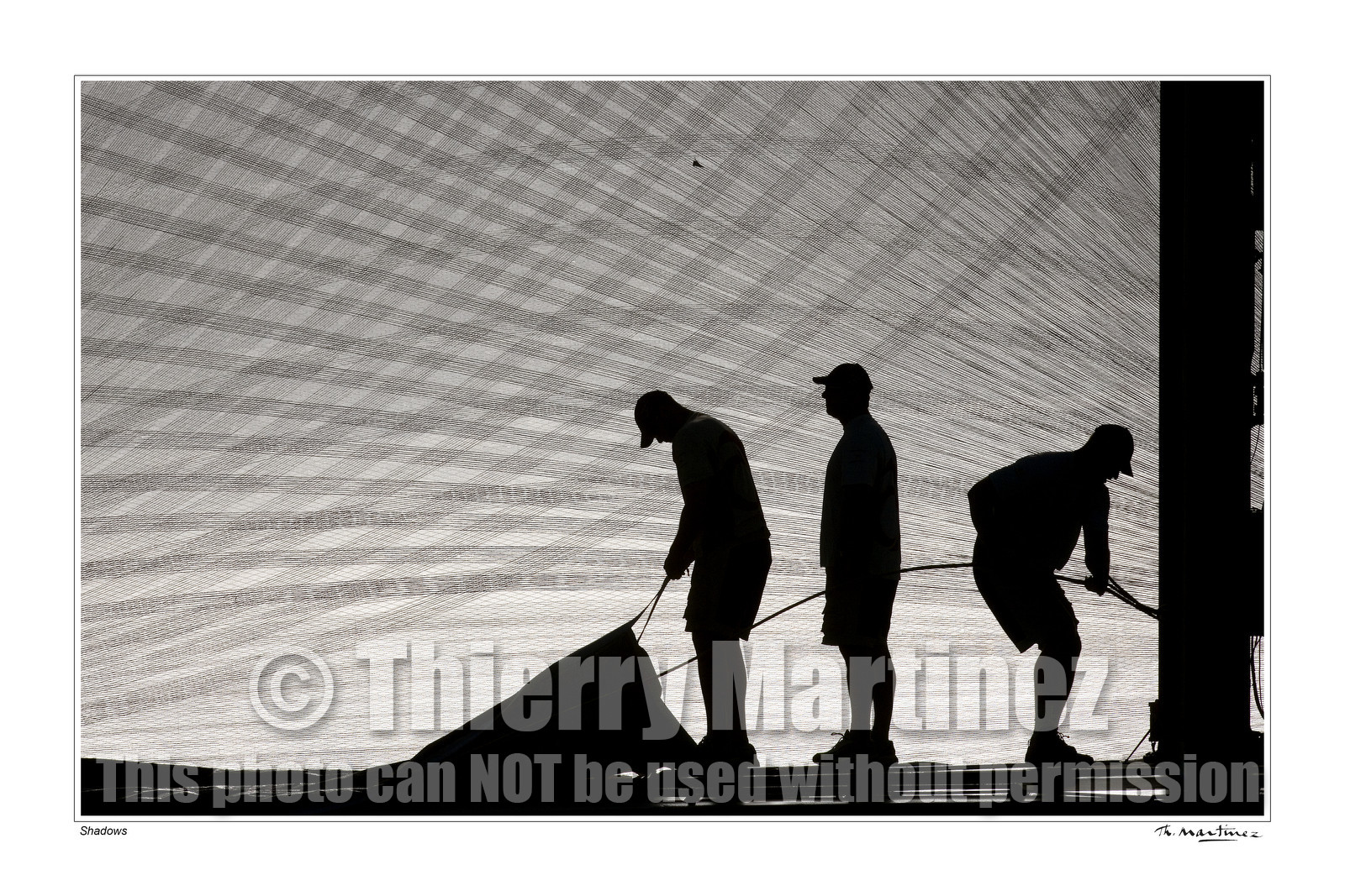 06_17693-shadow-fond blanc-.jpg