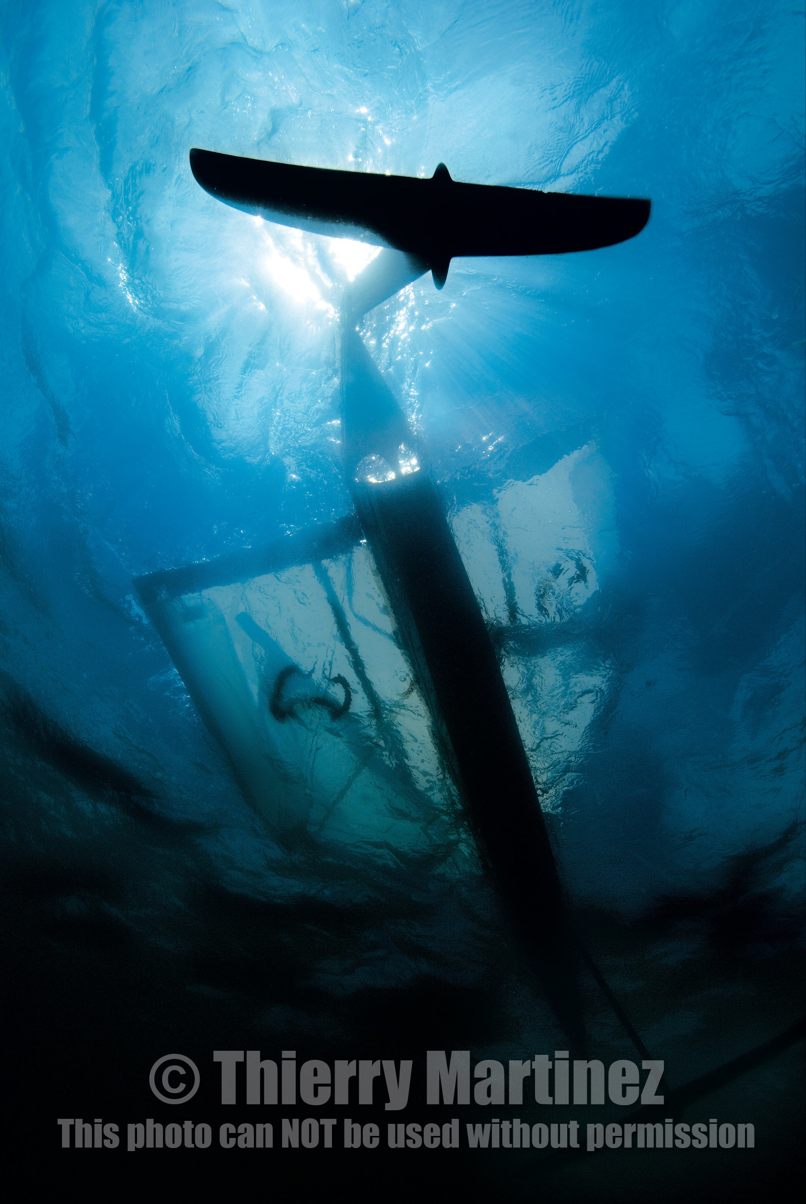 Moth International - Bladerider - Blairgowrie VICTORIA - AUSTRALIE . Feb 2007.