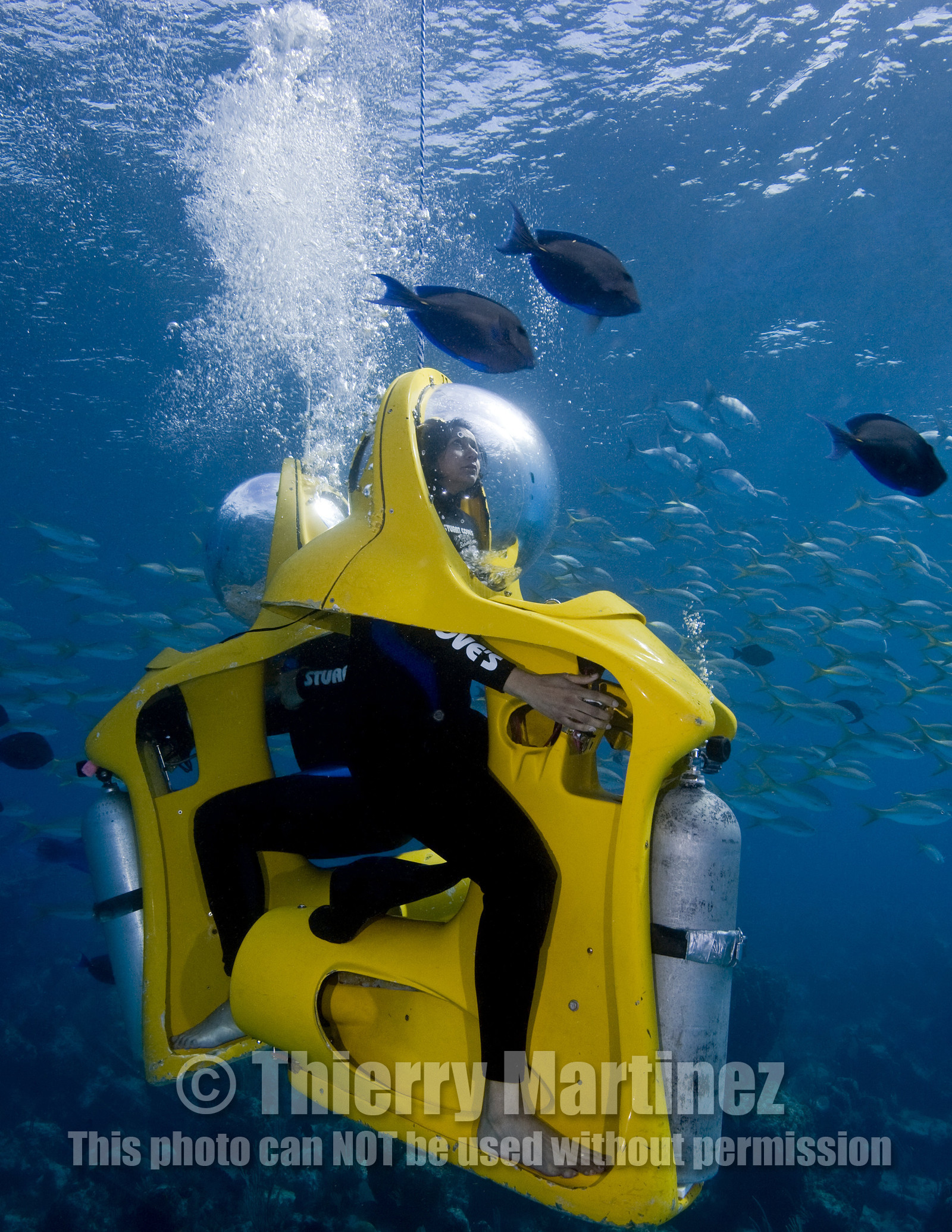 DIVING IN BAHAMAS- JAN 2007