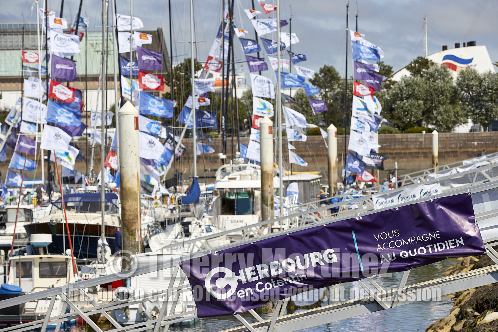 THM-20_08646_DRHEAM CUP