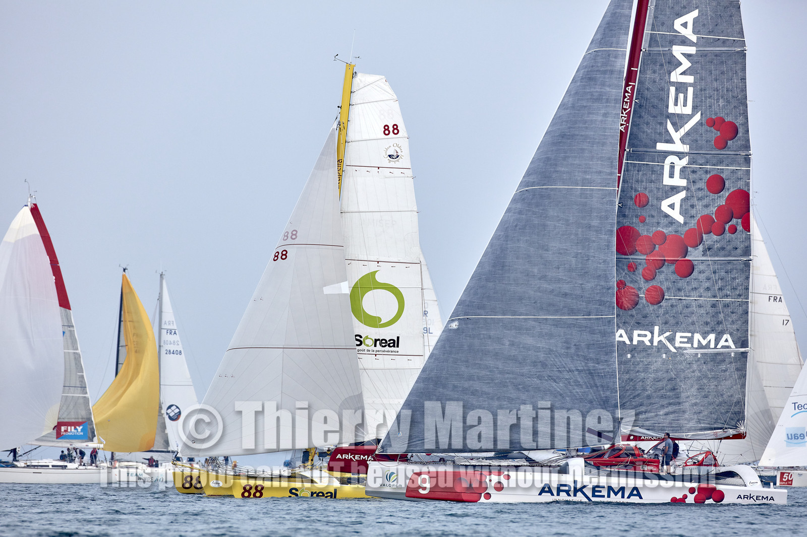 16_48159-DREAHM CUP 2016