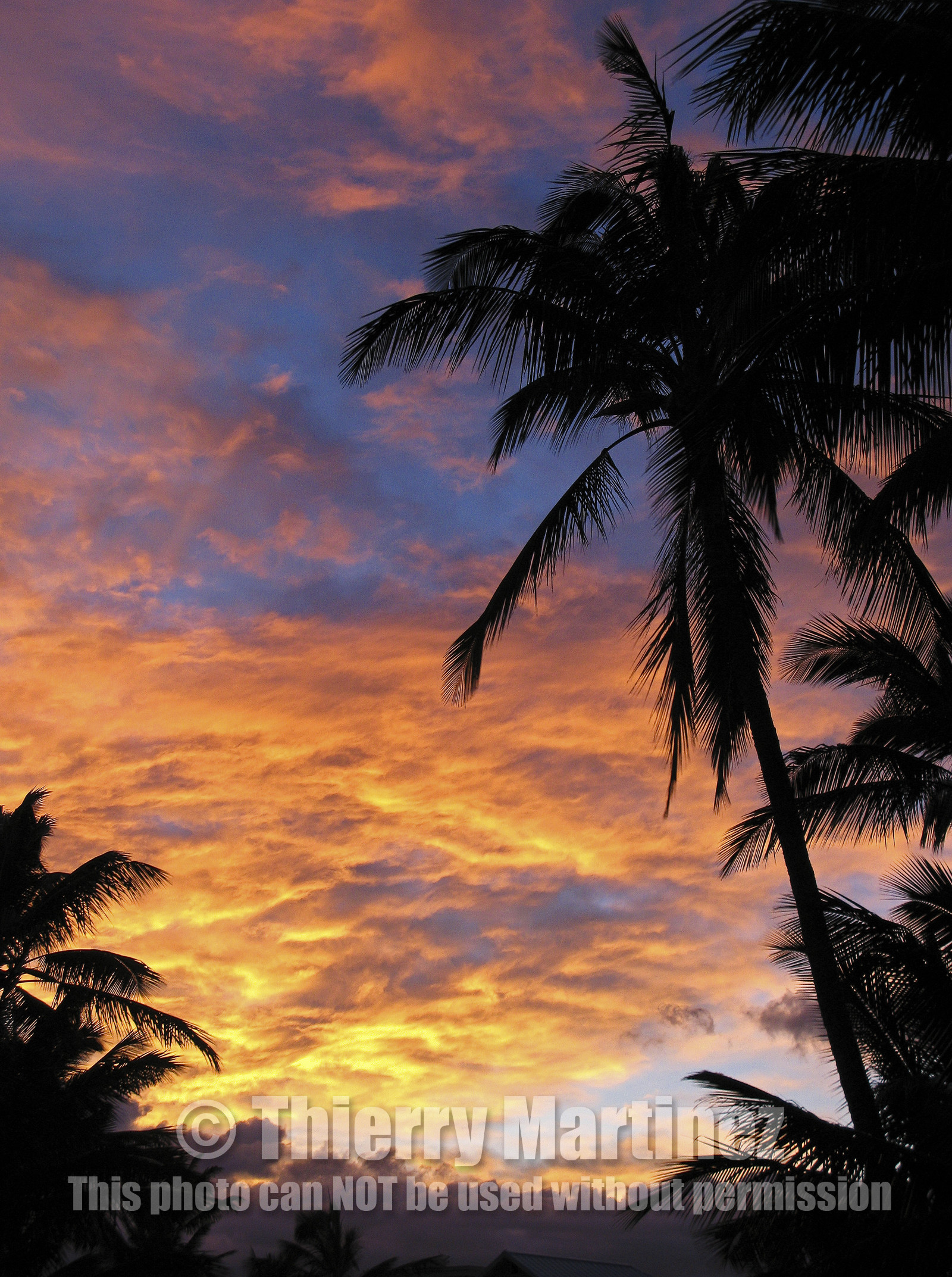 Maui - Hawaii Jan-Feb 2007