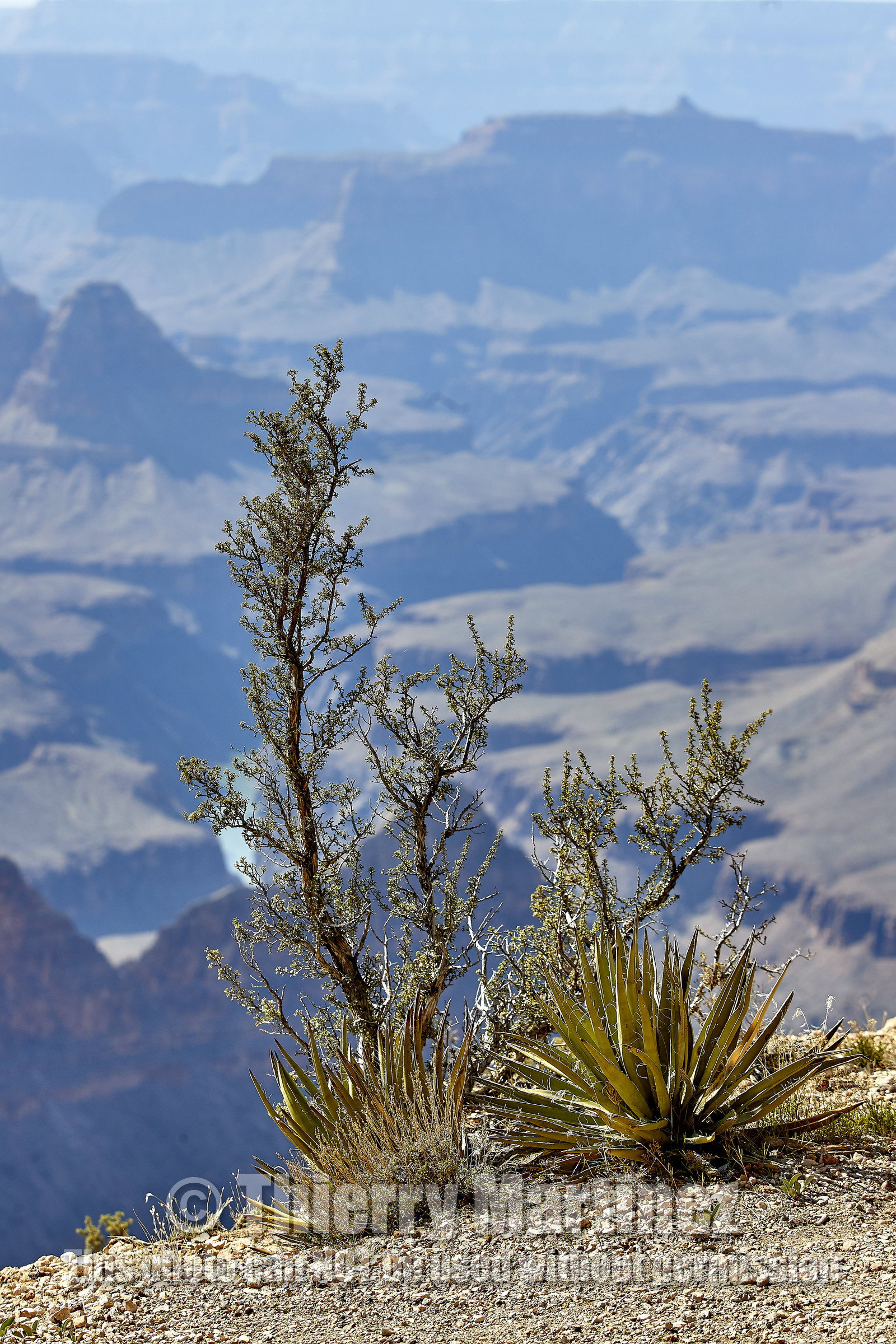 THM-18_057366-GRAND CANYON