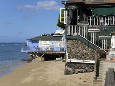 Diving in Maui HAWAII - USA . Jan 2007.