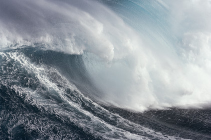 MAUI - HAWAII - USA . Jan 2007.