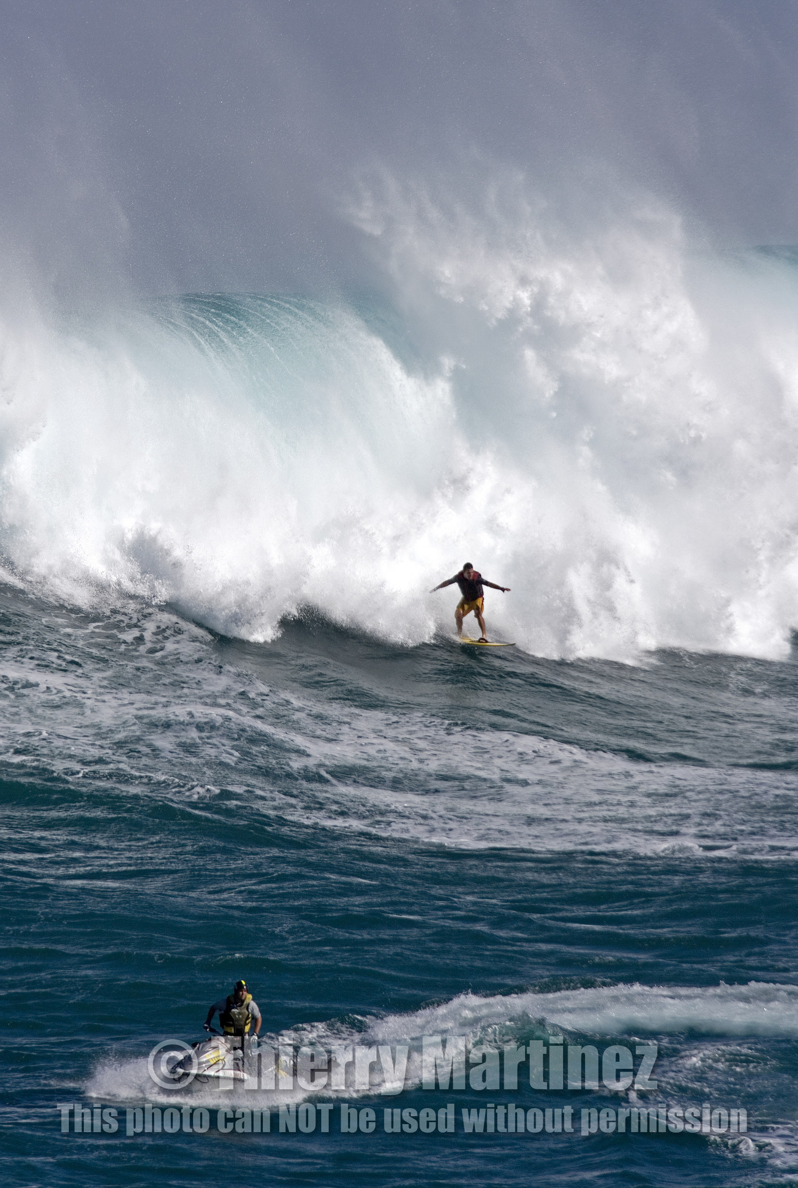 MAUI - HAWAII - USA . Jan 2007.