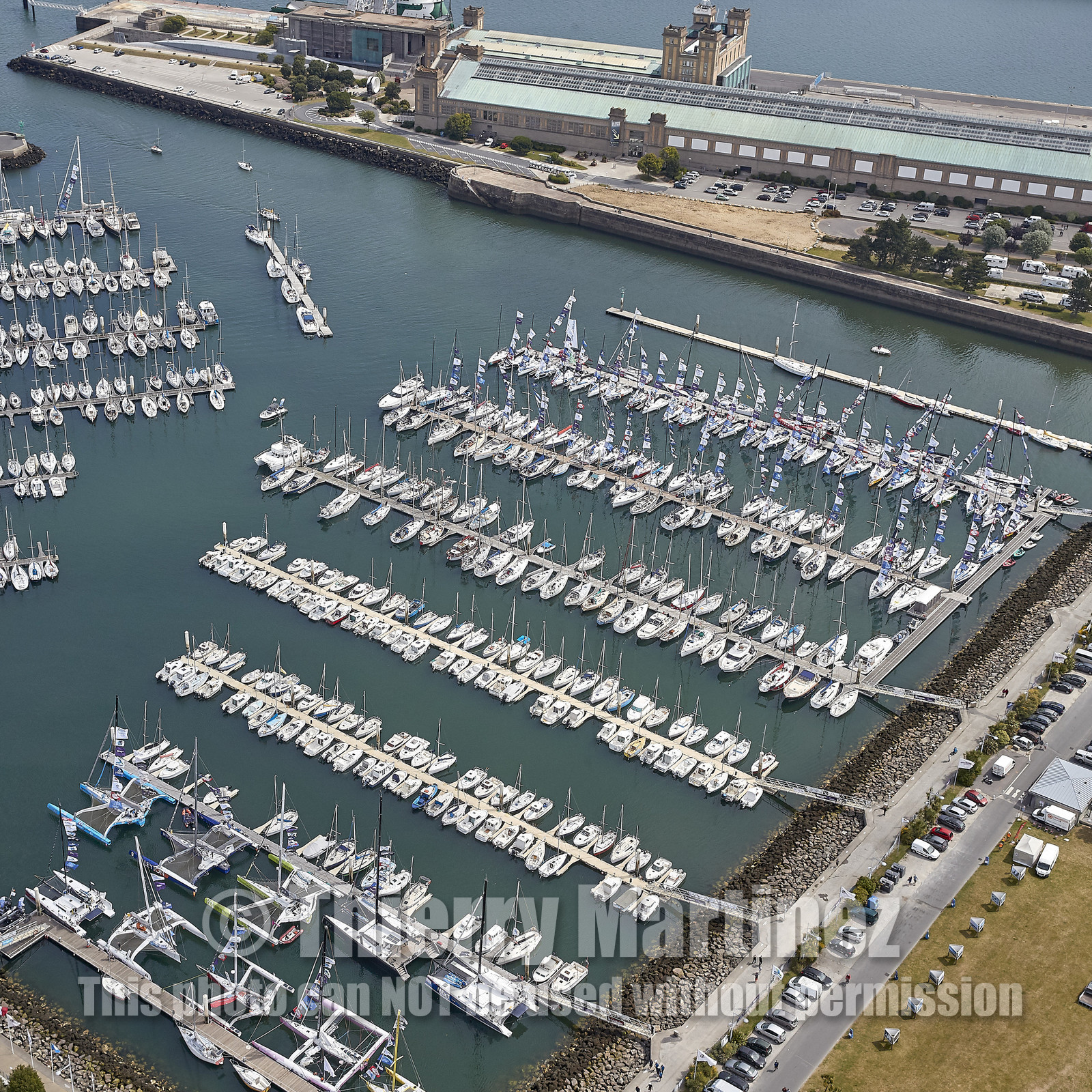 THM-20_07733_DRHEAM CUP