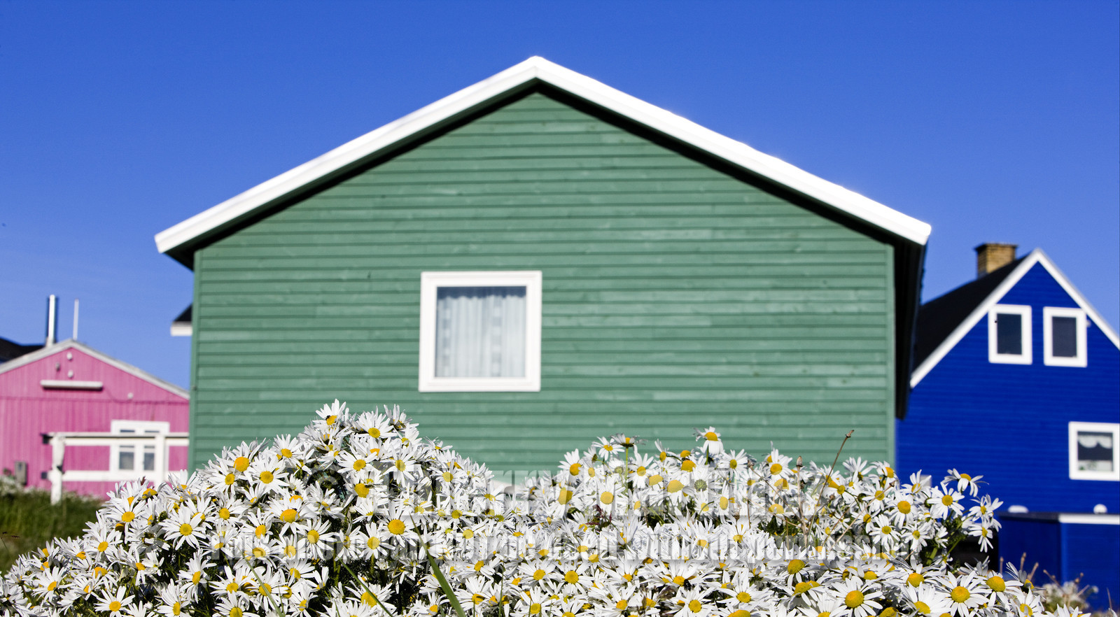 Schooner LA LOUISE sailing on west coast of Greenland.