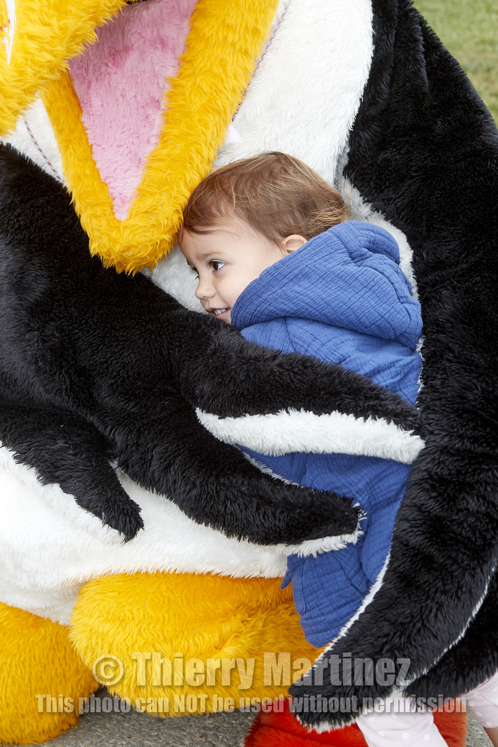 team AkzoNobel  in Volvo Ocean Race 2017-18.