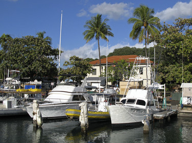 Diving in Maui HAWAII - USA . Jan 2007.