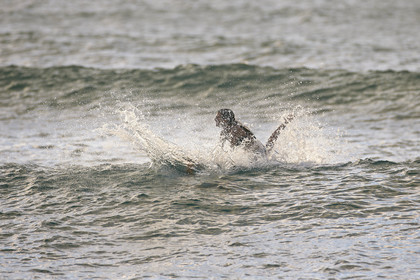 SURF AT SUNSET BEACH (North Shore - Oahu Island - Hawaii-USA)